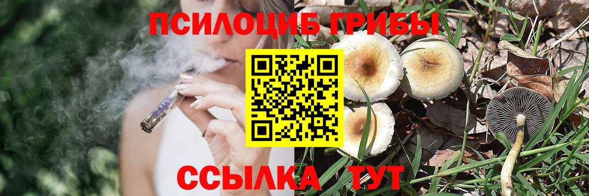 Псилоцибиновые грибы мицелий  Галлюциногенные грибы прущие грибы  Вход с VPN  Лесосибирск 