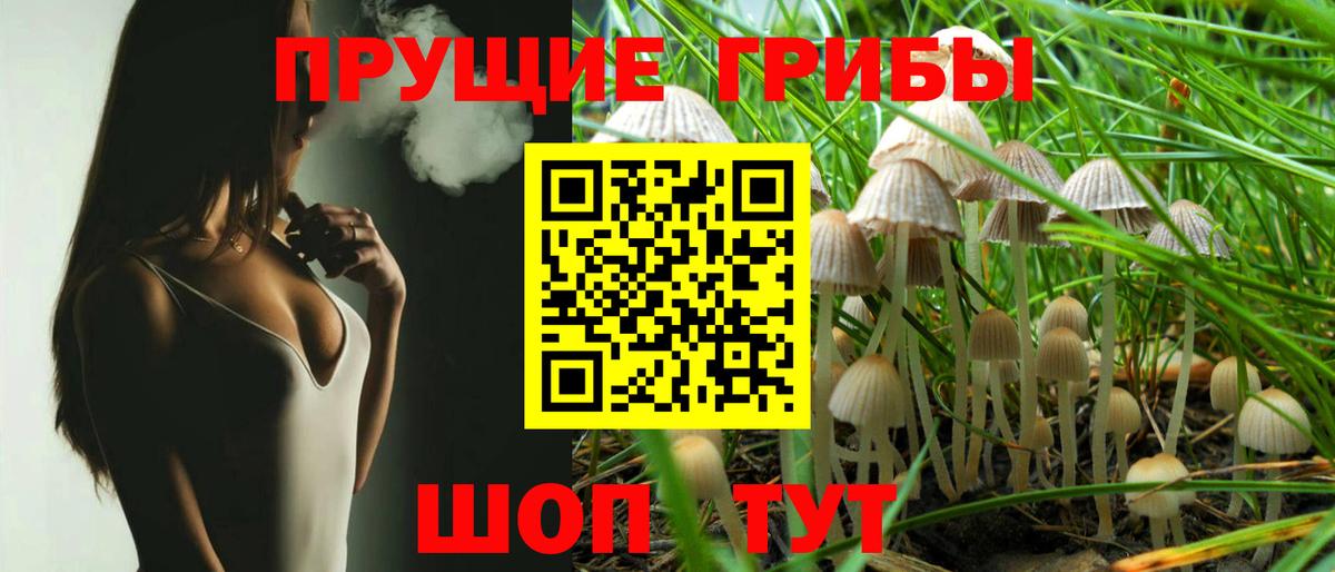 Галлюциногенные грибы мицелий Лесосибирск